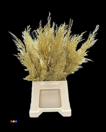 Кониферен-Coniferen-Gold-55cm 10c8cf0c-afde-11ef-0a80-1a7300b0ddd7