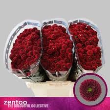 Хризантема сант-Chrysant sant-Purpetta Red-55cm-115gr 13627904-6902-11ef-0a80-04d00083ac6d