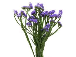 Статица-Statice-Sinzii Blue-52cm-TB 18b5df8d-9d69-11f0-0a80-0d170000eacb