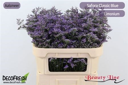 Лимониум-Limonium-Saf Classic Blue-70cm-40gr 61d5098e-4882-11f1-0a80-0bad000b33d4