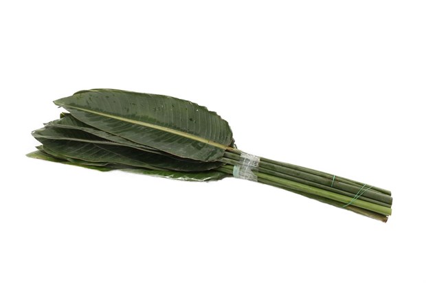Лист стрелиции-Strelitziablad 100cm-/GW 8b25d039-506a-11f1-0a80-19e30012f7fb