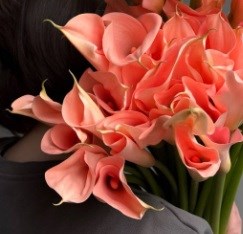 Калла-Calla-Lilies Salmon-70cm-CE e2f1be79-3a5f-11f1-0a80-0b2b000f10af