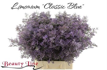 Лимониум-Limonium-Saf Classic Blue-70cm-35gr 7b93f862-1605-11ef-0a80-0f770012f934