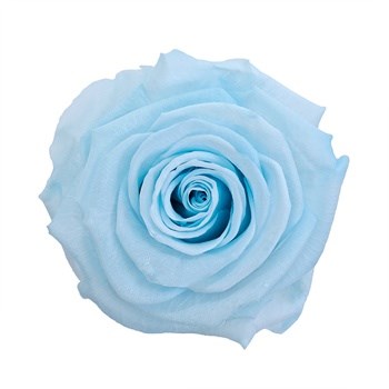 Роза-Rosa-Baby Blue-50cm-IS 1fae446f-bfa9-11ec-0a80-0b4c000b14f7