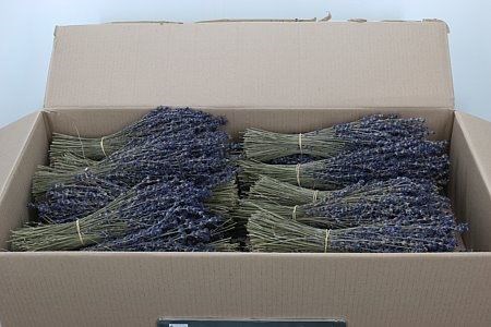 Лаванда-Lavendel-45cm-100gr 274c30f2-d0fb-11ec-0a80-0f1d00905421