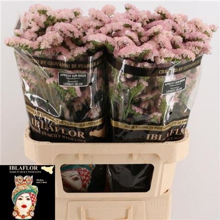 Лимониум-Limonium-S Apri Sun Birds-80cm-70gr 296aa734-a560-11ed-0a80-06890014f14c