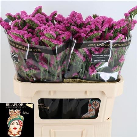 Лимониум-Limonium-S Raspb Wings-75cm-75gr 3199ad1c-8f32-11ed-0a80-070800fa480d