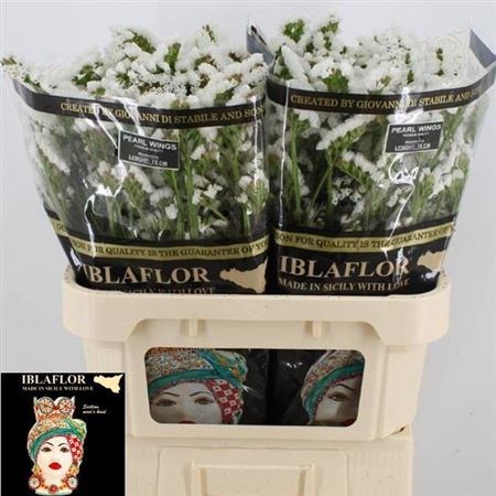Лимониум-Limonium-S Pearl Wings-75cm-80gr 3392af54-873d-11ed-0a80-07080090cbc3