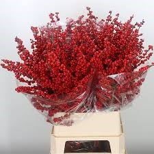 Илекс-Ilex-Verticillata Magical Berry-70см-GW 057e716a-d126-11f0-0a80-02a30014ecc3