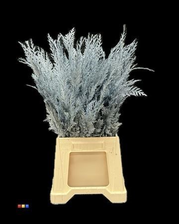 Кониферен-Coniferen-Metallic Light Blue 362ab178-d0e7-11f0-0a80-01700015fe8d