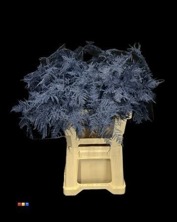Аспарагус-Asparagus-Extra Marine Blue-65cm 3632932a-d0e7-11f0-0a80-01700015fe93