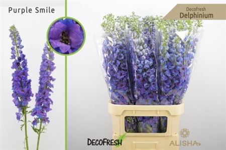 Дельфиниум-Delphinium-Du Dew Pur Smi-100cm 384e91d4-f48a-11ed-0a80-00f200045e3c
