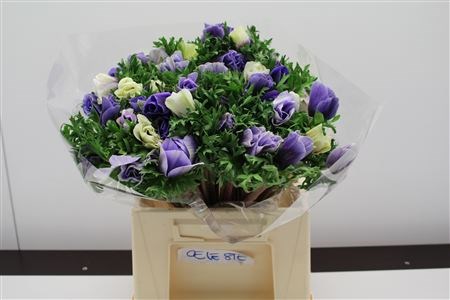 Анемон-Anemone-Z Mistral Lichtblauw-45cm 419553db-5e86-11ed-0a80-0008007a6483