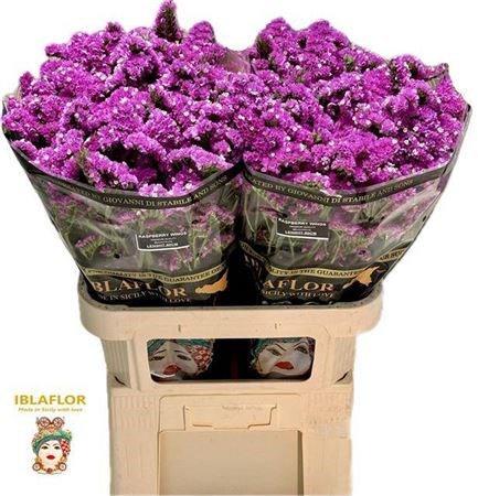 Лимониум-Limonium-S Raspb Wings-80cm-48gr 4899dab8-02d0-11f1-0a80-11ea00047f23