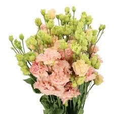 Лизиантус G-Lisianthus G-Alissa Peach-/70cm 4f9b3231-f5e5-11ef-0a80-0c6900260a33