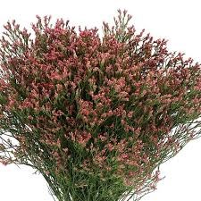 Лимониум-Limonium-Max Diamond-70cm-So 50230e6a-7c03-11ef-0a80-02480012aa2e