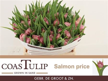 Тюльпан-Tulip-Du Salmon Price-36cm-35gr 56ed5997-b9fb-11ee-0a80-0094000e012e