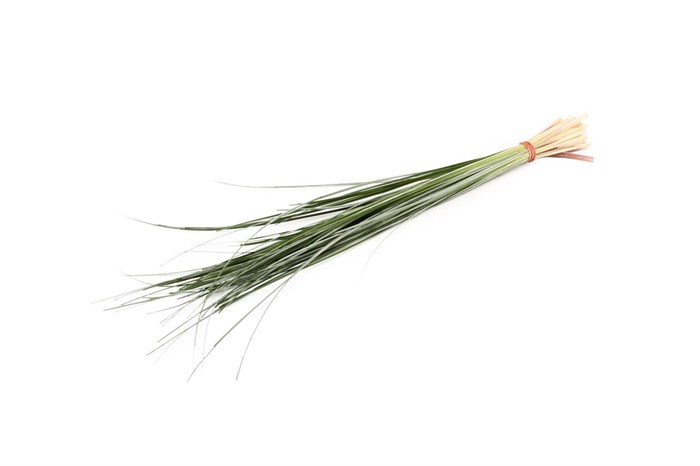 Берграс-Beargrass-GW 57096a30-4526-11f0-0a80-091e002f65e7