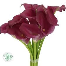 Калла-Zantedechia-Rose Art-50cm 5addeba5-2eea-11ef-0a80-103c00190d12
