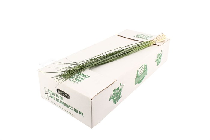 Берграс-Beargras-85cm 63932573-cf67-11ec-0a80-0d32013b2886