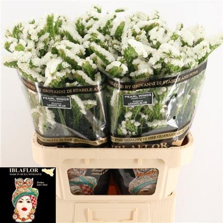 Лимониум-Limonium-S Pearl Wings-80cm-60gr 653688da-1017-11ee-0a80-0da30007f281
