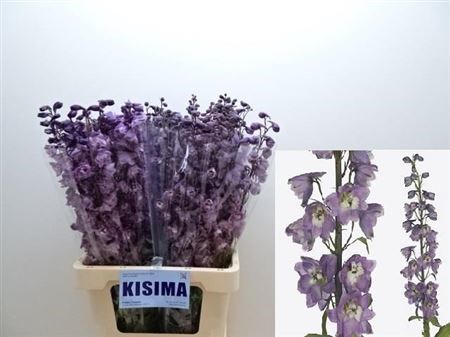 Дельфиниум-Delphinium-Du Mf Lpink Wb-70cm 6650dff2-90aa-11ed-0a80-08d200028ee6