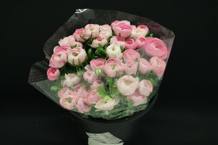 Ранункулус-Ranunculus- Zwaar Rose-40cm 6f06c010-7363-11ee-0a80-130d00184597