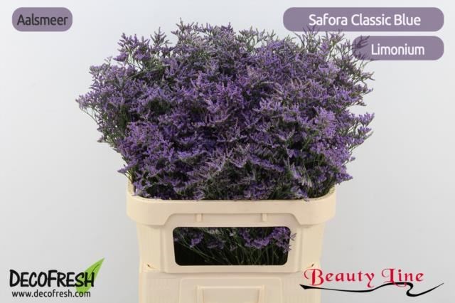 Лимониум-Limonium-Saf Classic Blue-90cm-70gr 791c67db-99c1-11ef-0a80-15fa0037cb13