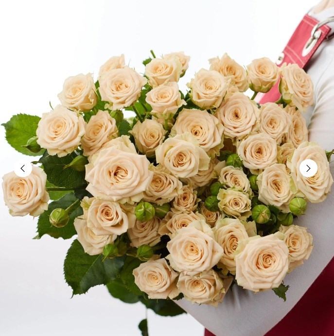 Роза куст. Таня 60см (Россия) 0cfff17c-000a-11f1-0a80-05d8002c724a