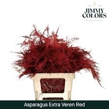 Аспарагус-Asparagus-Extra Veren Red 65-GW 7dcf6e0a-d125-11f0-0a80-0f070015b553