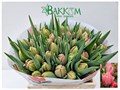 Тюльпан-Tulip-Du Etched Salmon-36cm-40gr 0fafa718-f88f-11f0-0a80-01270001303e