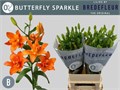 Лилия-Lilium-La Bf Sparkle-90cm 100a1f78-a6db-11f0-0a80-01920054256b