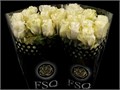 Роза-Rosa-White Shimmer-50cm-QA 10216a15-baeb-11ee-0a80-147f00014e75