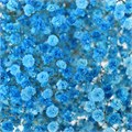 Гипсофила-Gypsophila-Xlence Light Turquoise-1000gr-EA 10df3075-80b0-11ef-0a80-14620013891f