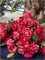 Роза куст-Rosa sp-La Parisienne-50cm-RS 11239458-e398-11ee-0a80-117a001ede54