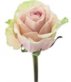 Роза-Rosa-Salma-50cm-IS 12bf5b4f-33f8-11ef-0a80-06380001be56