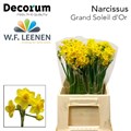 Нарцис-Narcissus-Grand Soleil D'or 566-45cm/25gr 12f1edbe-be4d-11f0-0a80-0bb5003a29d0