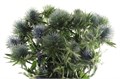 Эрингиум-Eryngium-Magnet-60cm 136dd2b2-6902-11ef-0a80-04d00083ac86
