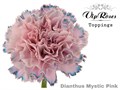 Гвоздика ст-Dianthus st-Mystic Pink-60cm 142decbd-bfa4-11ec-0a80-0b4c00069aca