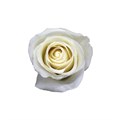 Роза-Rosa-Tibet-40cm-MS 14621a6d-bfa9-11ec-0a80-0b4c000afce1