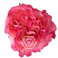 Роза-Rosa-Enchantment-40cm-BA 158d385a-badf-11ee-0a80-15dc0000896e