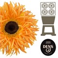 Гербера-Gerbera-Spider Bambu Diamond-50cm 165efd95-9d66-11f0-0a80-00e30000be8a