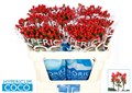 Хиперикум-Hypericum-Spray Coco Rio-55cm 169b50d5-6e29-11ef-0a80-153d00168977