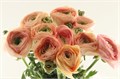 Ранункулус-Ranunculus-Cloni Extra Grand Pastel-45cm 16a8259c-63e5-11ed-0a80-048c003b53f3