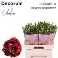 Лизиантус G-Lisianthus G-Rosanne Deep Brown-70cm 16b3fa0e-9d66-11f0-0a80-00e30000bea8