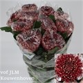 Хризантема одн-Chrysant Gr-Marlen-80cm-100gr 170619ae-9d66-11f0-0a80-00e30000beb4