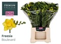 Фрезия-Freesia-Du Boulevard-52cm-26gr 175db23f-0edc-11f0-0a80-1a440009d01f