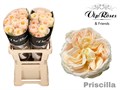 Роза-Rosa-Gr Priscilla!-50cm 01bc43de-73cd-11f0-0a80-01d400013306