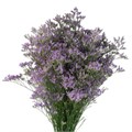 Лимониум-Limonium-Sky Light-62cm-TB 1880ec41-9d69-11f0-0a80-0d170000ea8c