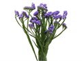 Статица-Statice-Sinzii Blue-52cm-TB 18b5df8d-9d69-11f0-0a80-0d170000eacb